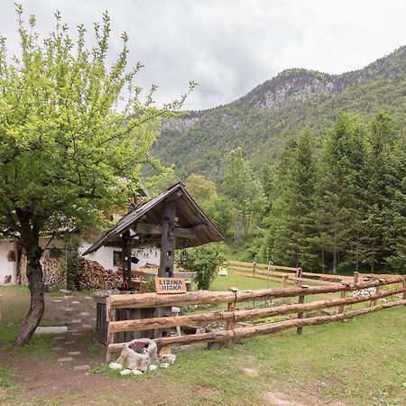 Lizina Hiska House Bohinj Villa Bohinjska Bistrica Luaran gambar