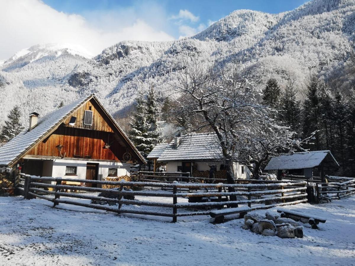 Lizina Hiska House Bohinj Villa Bohinjska Bistrica Luaran gambar
