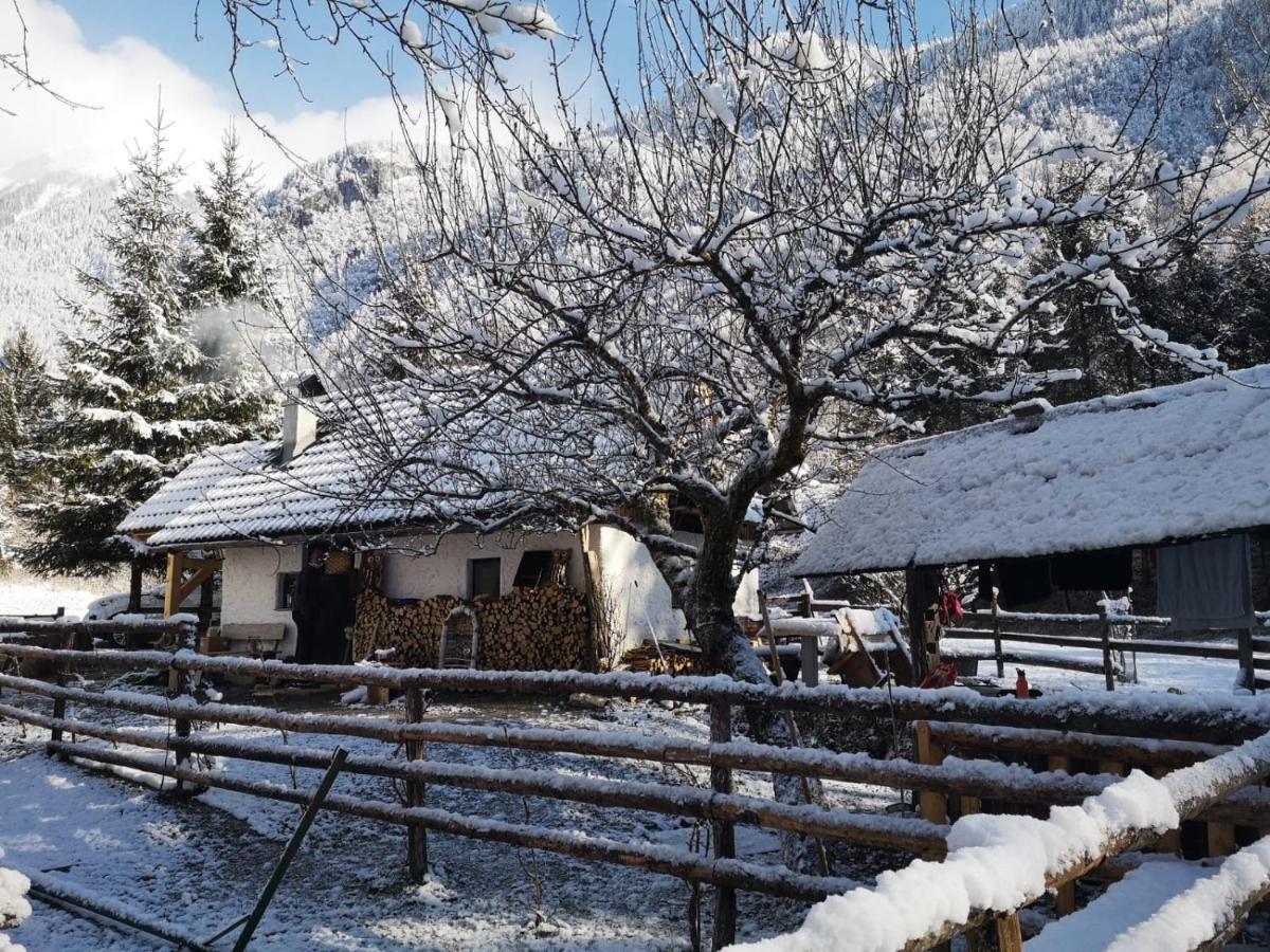 Lizina Hiska House Bohinj Villa Bohinjska Bistrica Luaran gambar