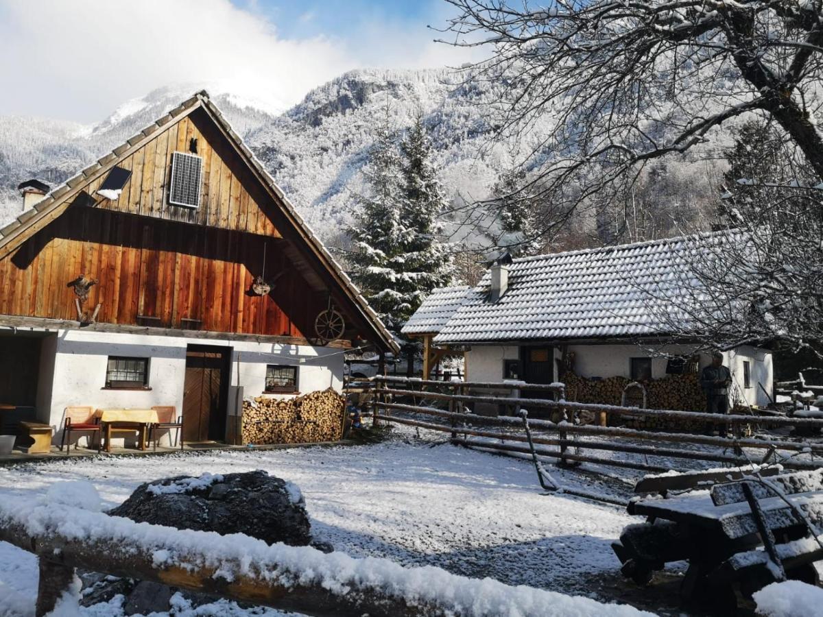 Lizina Hiska House Bohinj Villa Bohinjska Bistrica Luaran gambar