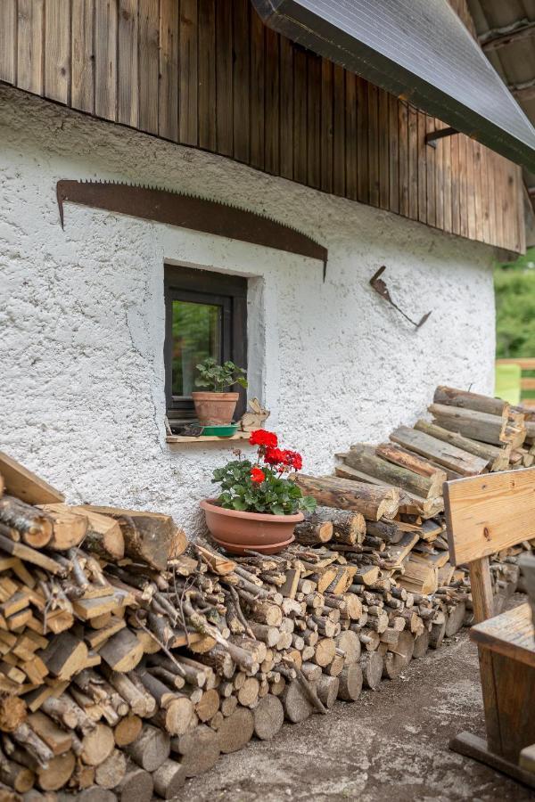 Lizina Hiska House Bohinj Villa Bohinjska Bistrica Luaran gambar