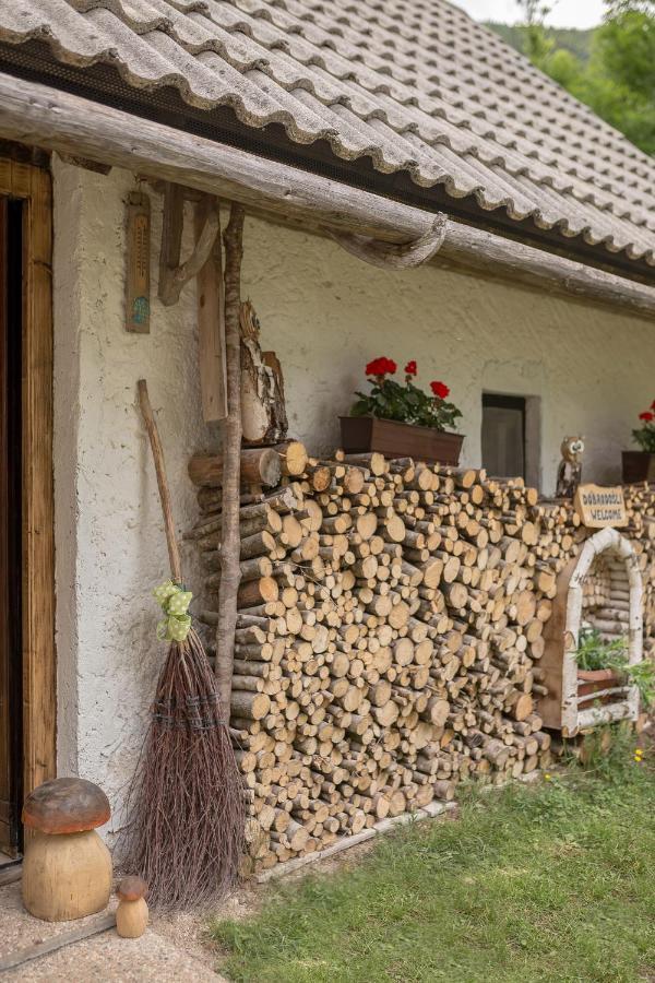 Lizina Hiska House Bohinj Villa Bohinjska Bistrica Luaran gambar