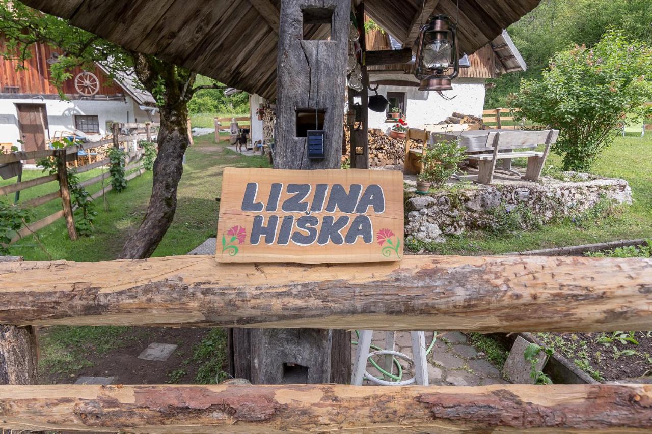 Lizina Hiska House Bohinj Villa Bohinjska Bistrica Luaran gambar